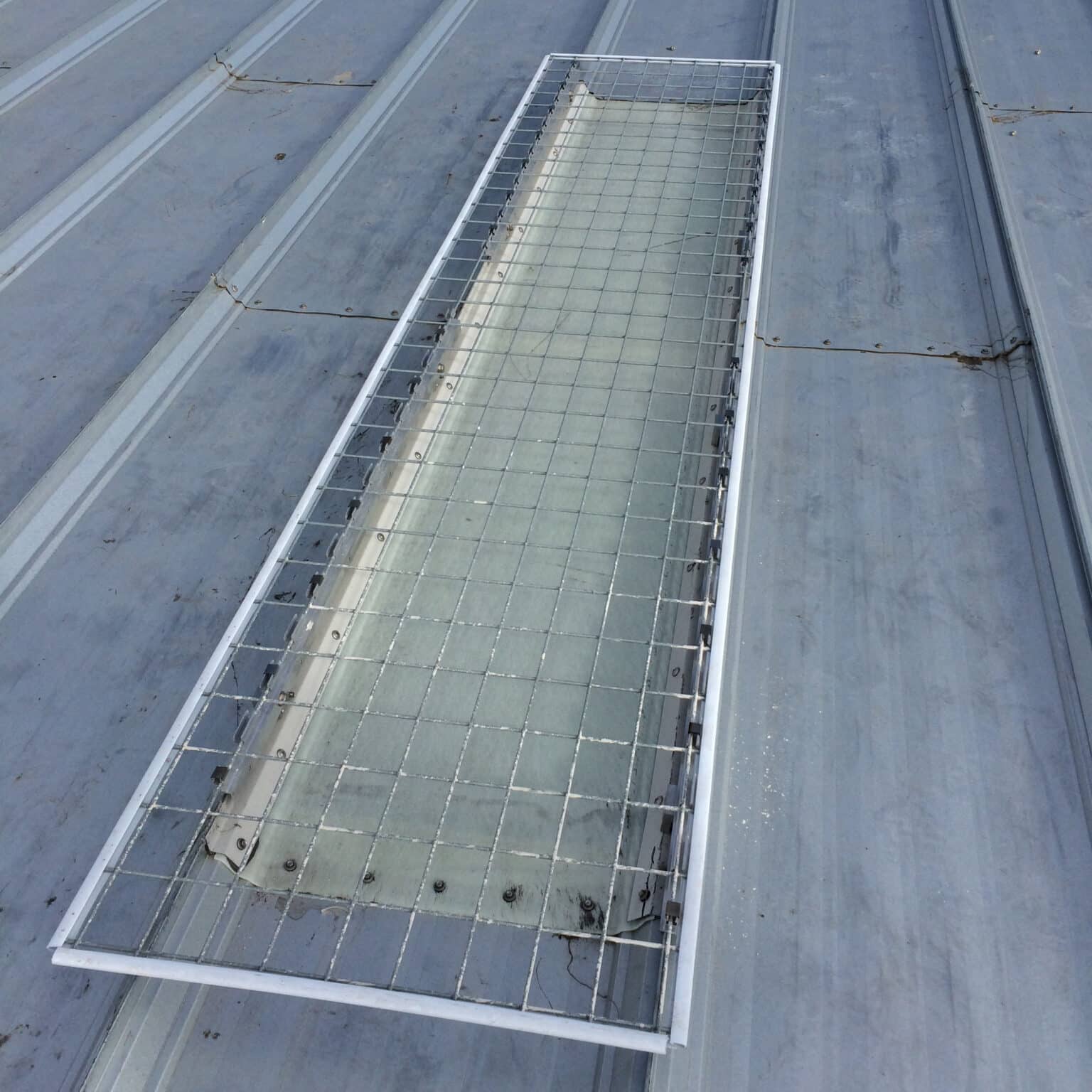 Fall Protection Skylight Screens | Factory Supply