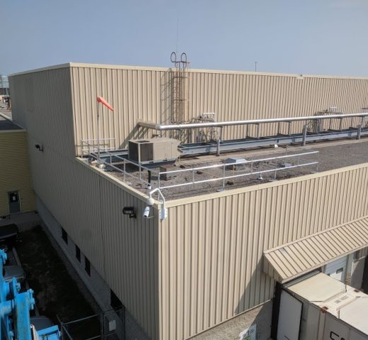 Rooftop fall protection guardrail [gargoyle]