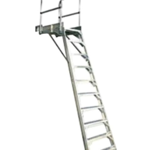 Wheel well ladder [Boeing]